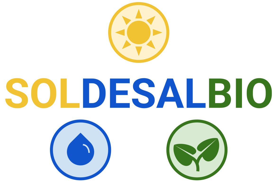 SOLDESALBIO logo