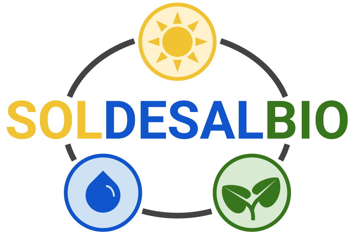 SOLDESALBIO logo
