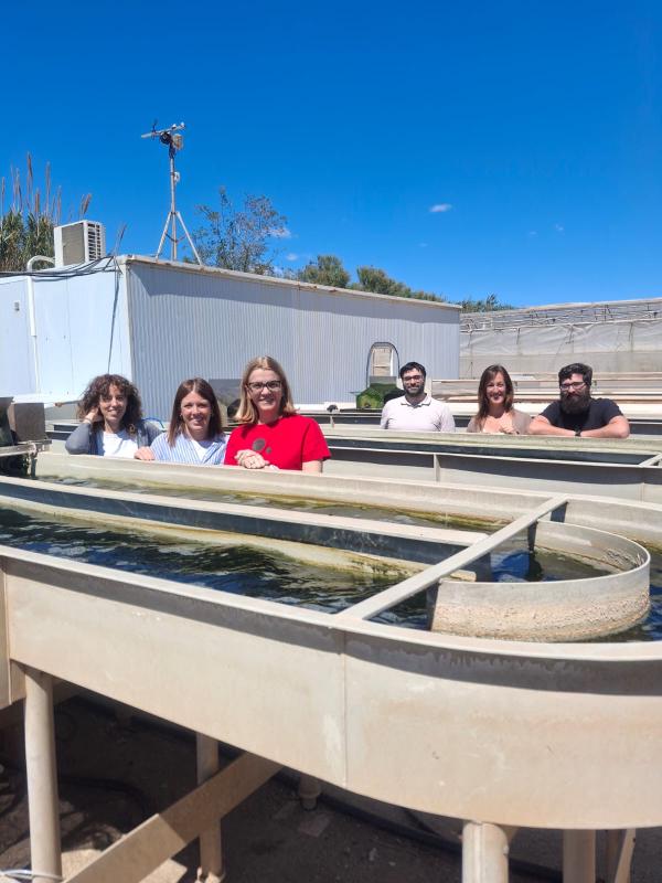 Advances in RO+CAES Integration and Macroalgae Research